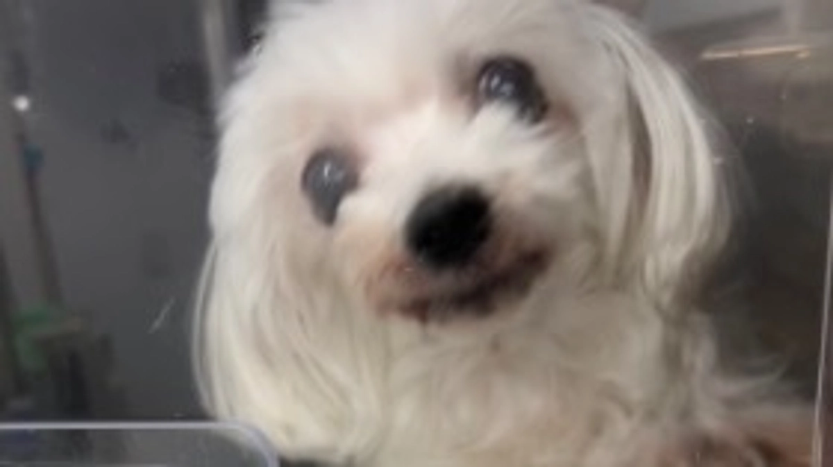 本日入院しました。