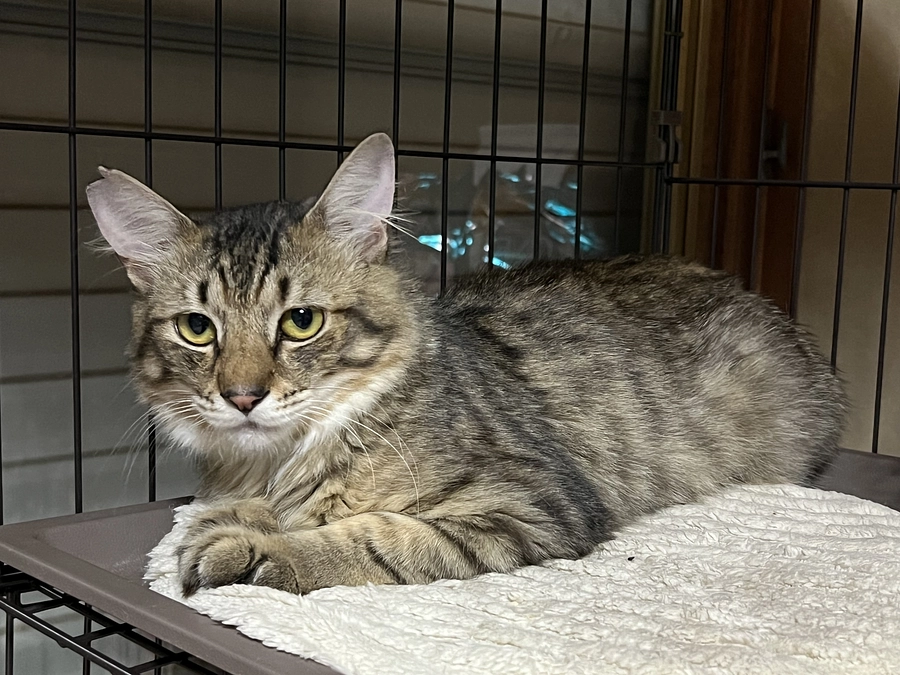 残り2週間となりました