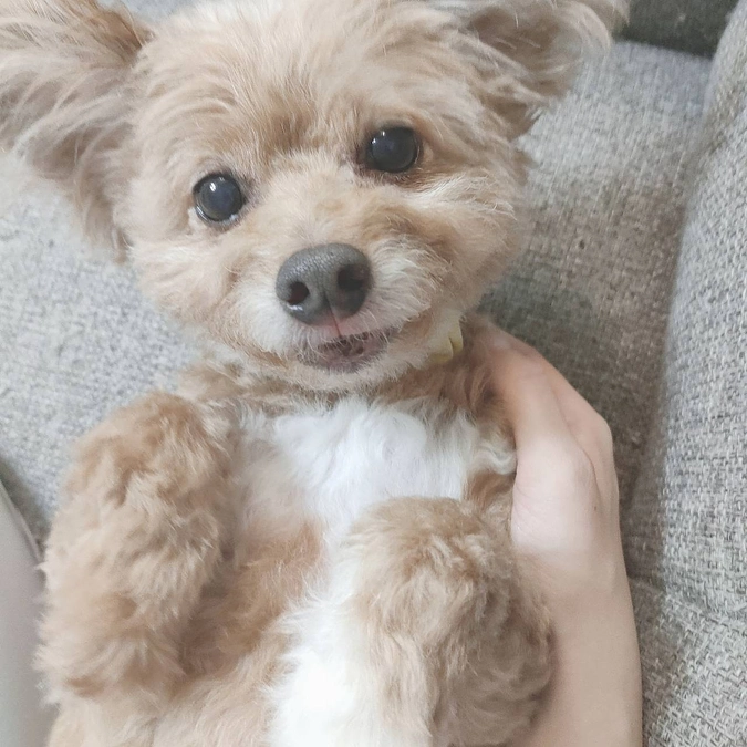 クラウドファンディング初日を終えて