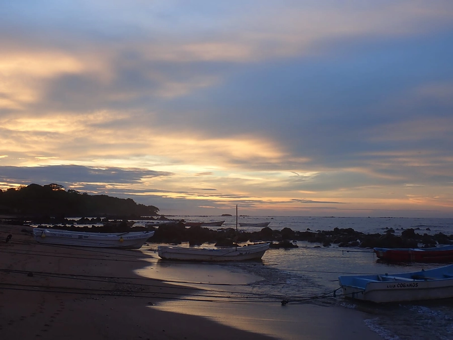 日本に到着しました！