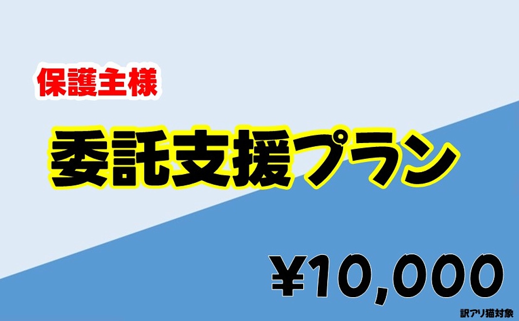 【保護主様】養育費（訳アリ）