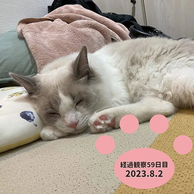 経過観察59日目(2023.8.2)