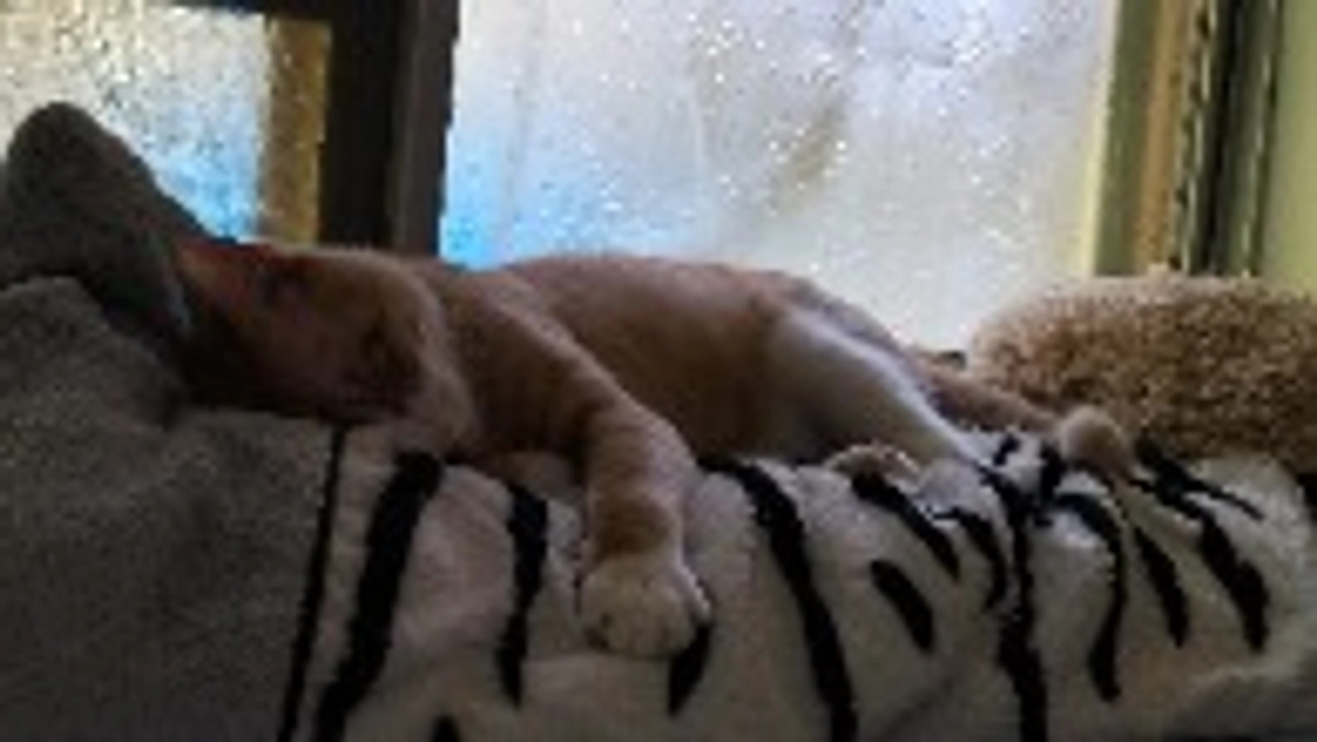 改めて　ありがとうございます✨