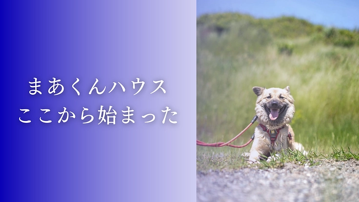 殺処分反対！周南の成犬を助けるため、第二のまあくんハウスを作りたい 2枚目