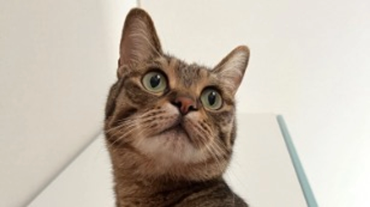 【今日のなっちゃん】5月28日