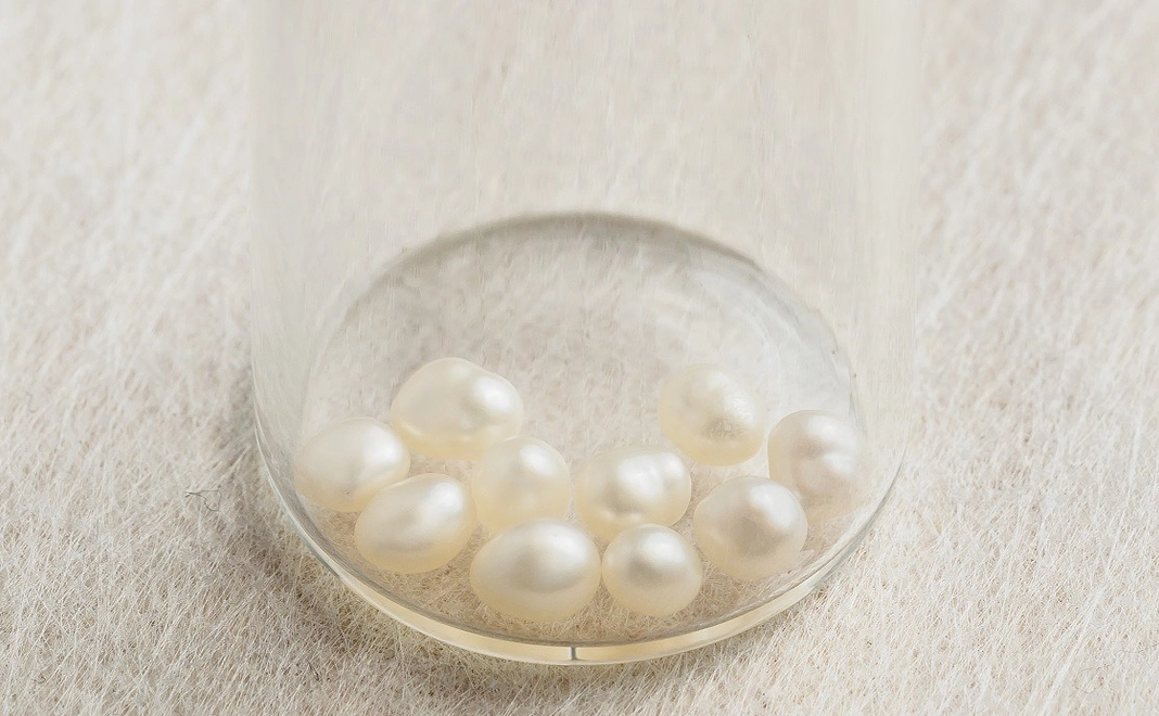 【グッズで支援】びわ湖真珠コース