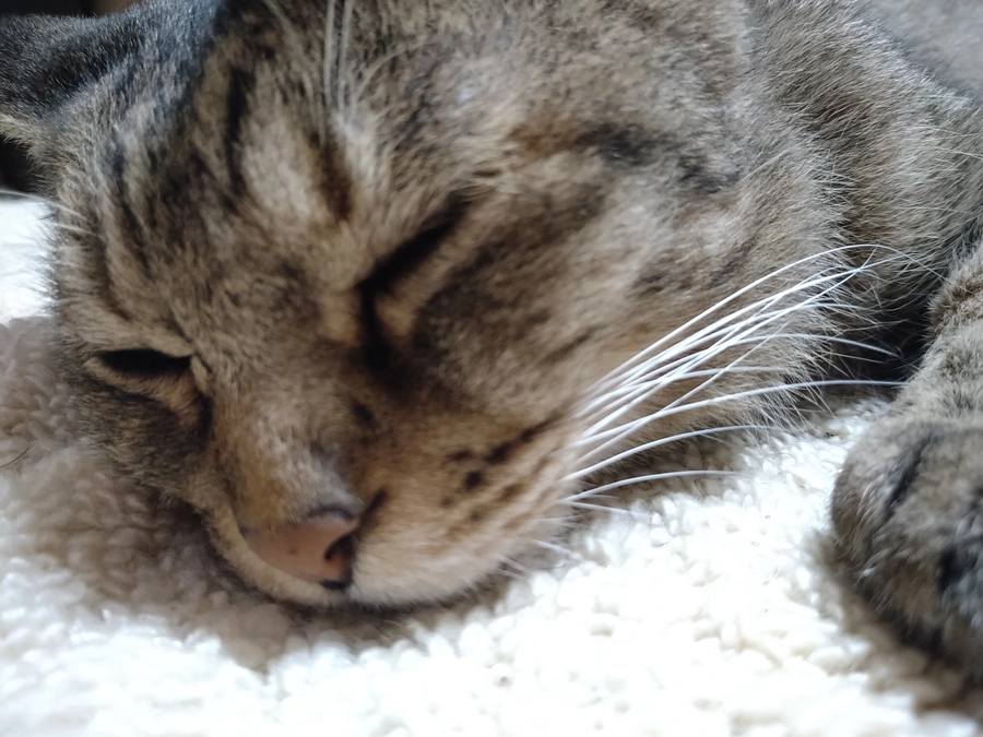 外注検査の結果と通院