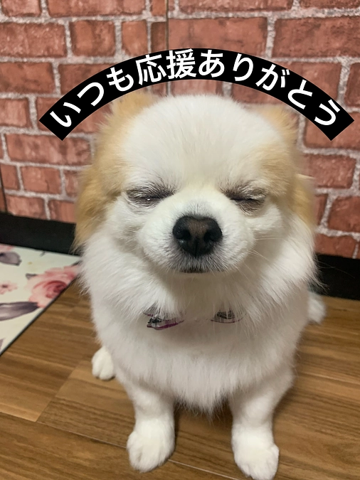 支援者の皆さま