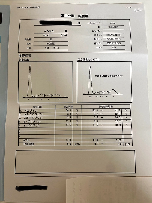 クラウドファンディング達成のお礼