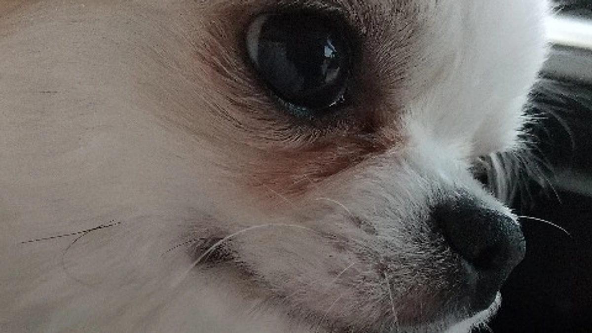 ”術後の経過報告②”です。