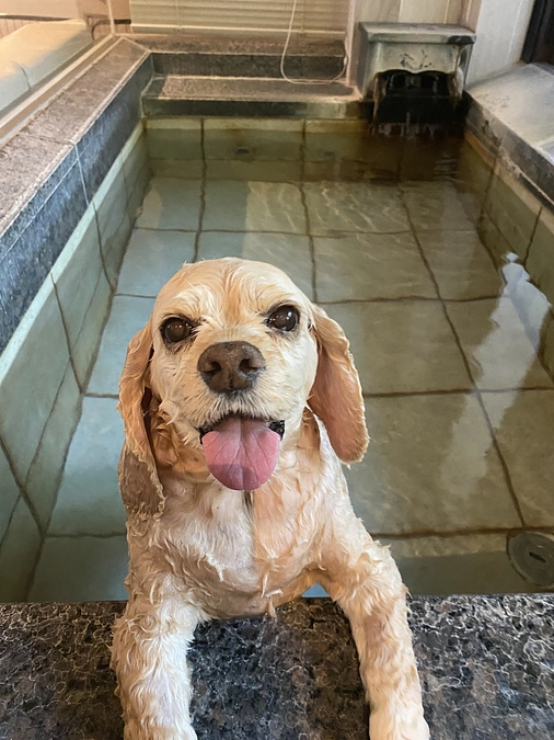 8月19日14時　ロレンツア永眠しました　ありがとうございました