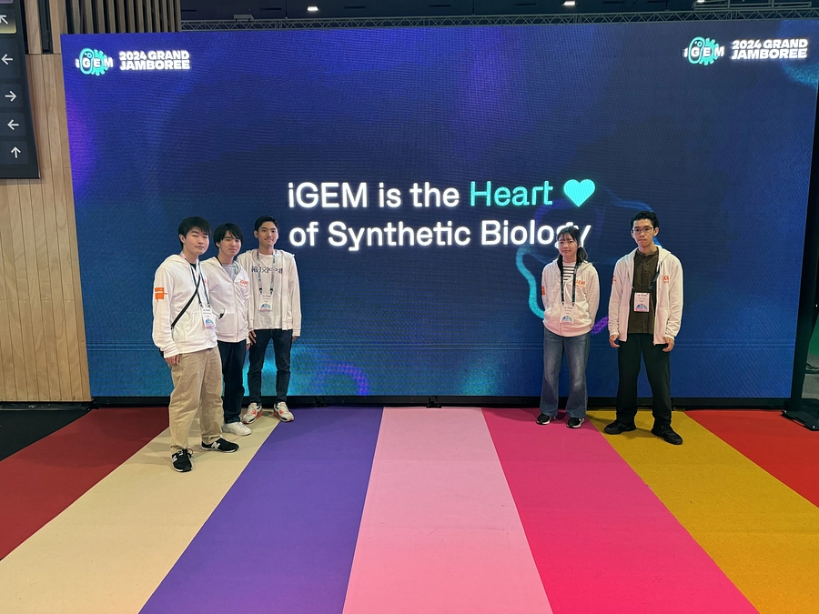【iGEM Tokyo Tech】iGEM 2024参加＆結果報告