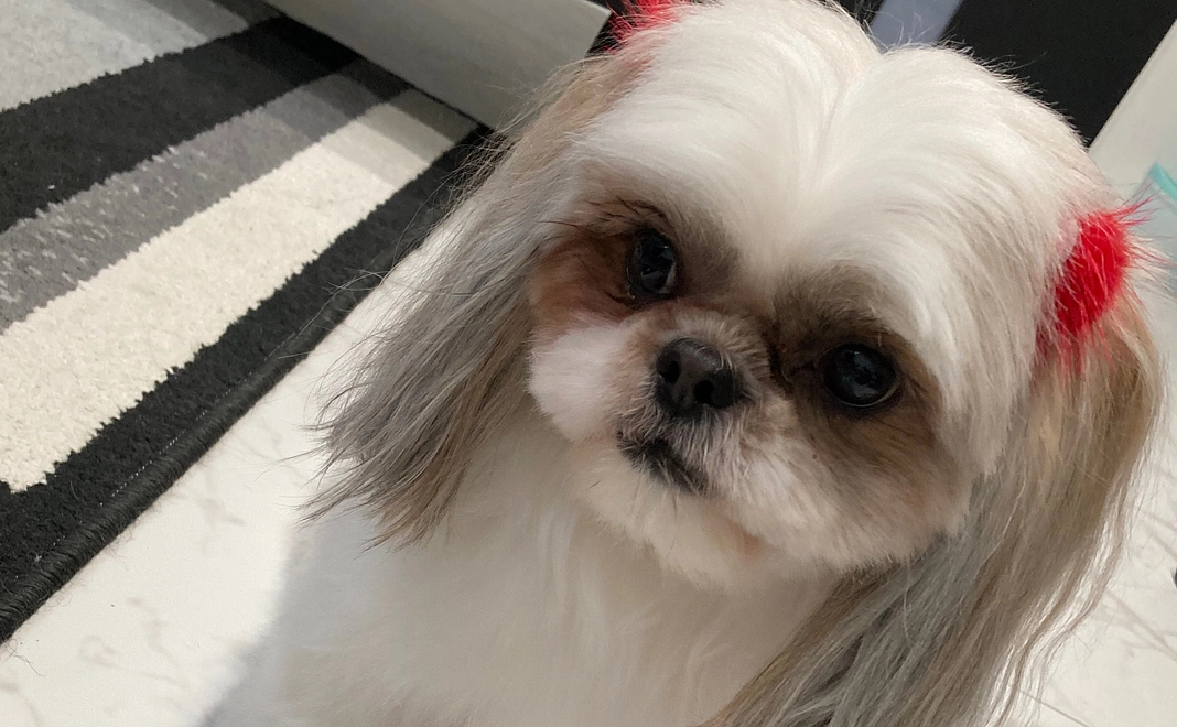 ありがとうございます　2