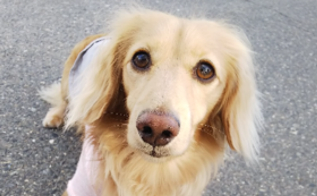 命を無駄にしない気持ちを大切に