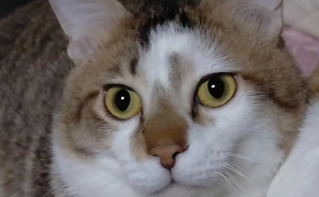 感謝のメールと写真つきのご報告