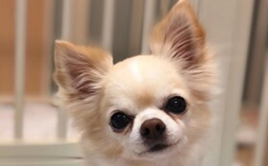 1万円｜ティアハイムセカンドにお名前を掲示コース