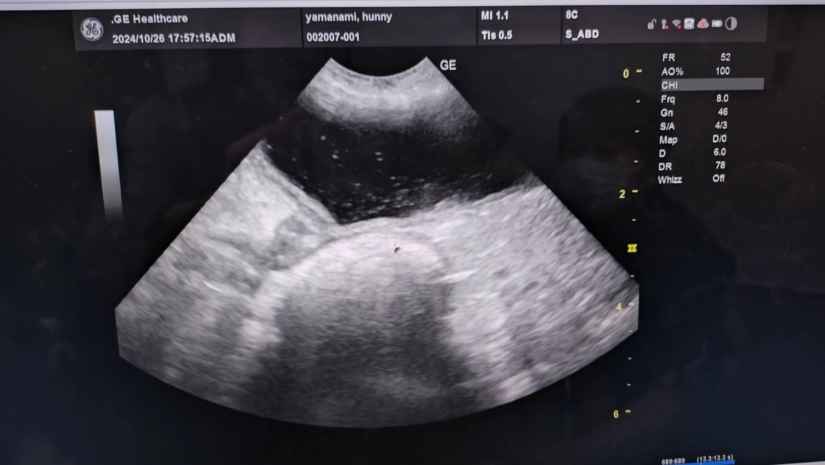 10月26日診療明細