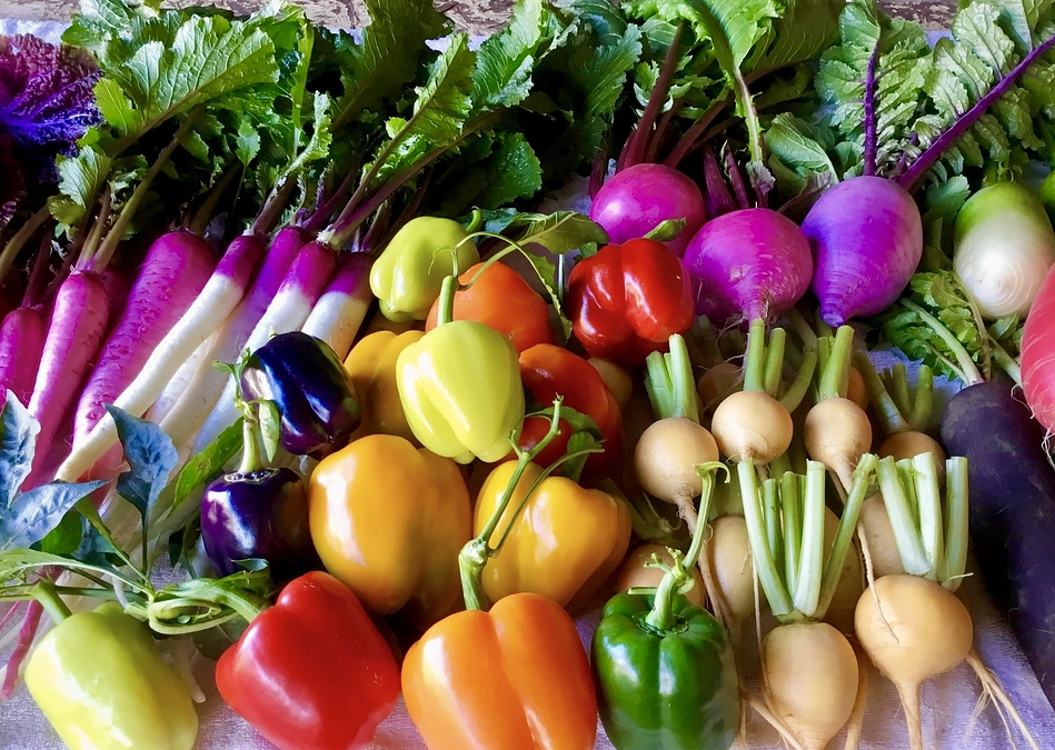 8月31日ーやさいの日ー