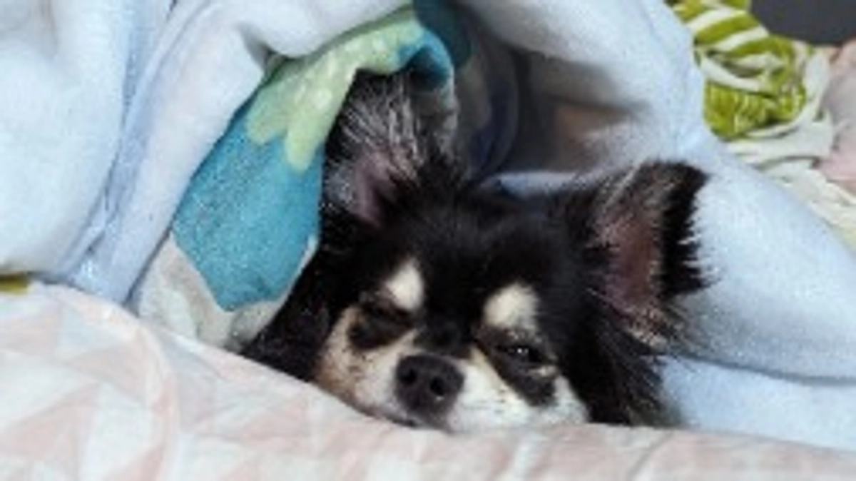 いつも応援してくださる皆様のおかげで頑張れています🙇‍♀️