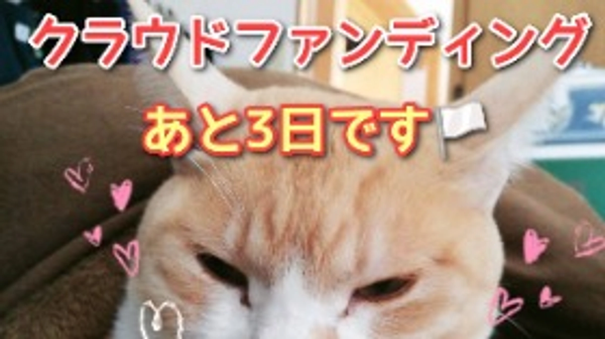 🐾のこり３日となりました🐾