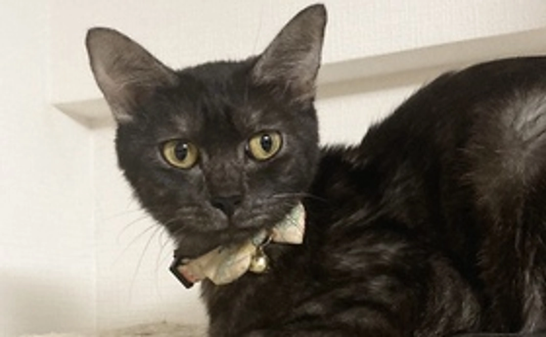 感謝のメール②