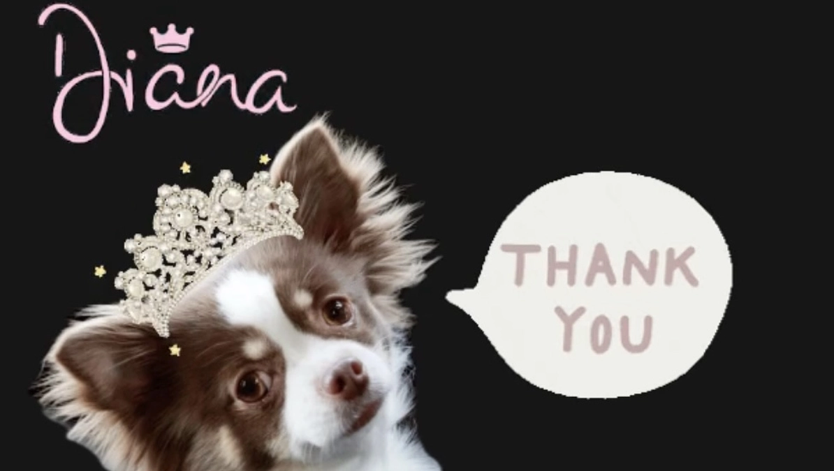 2024.01.20 皆様のご協力、本当に有難う御座いました。