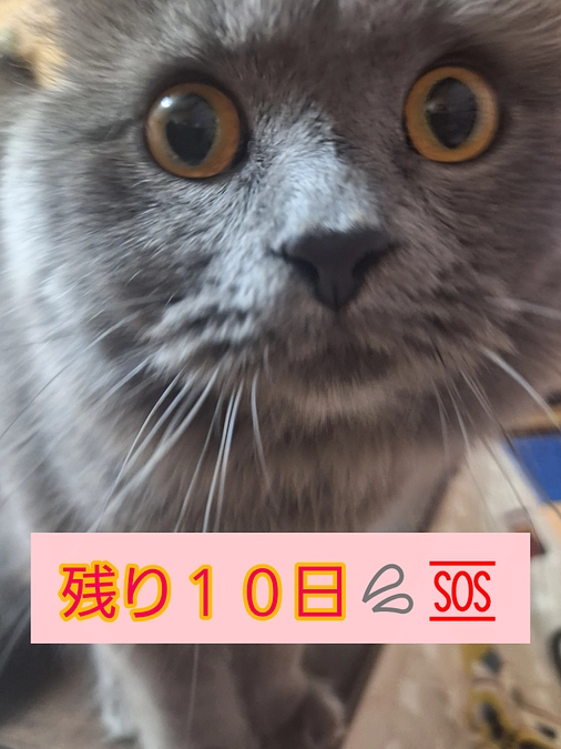 残り１０日💦💦