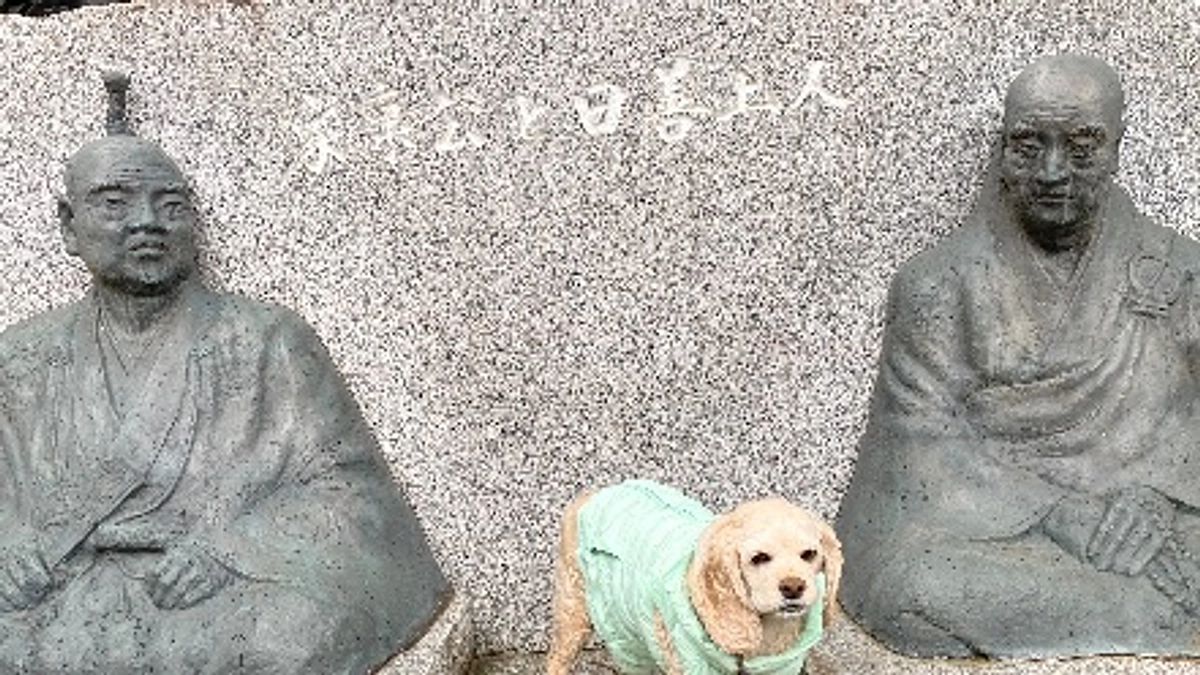 あともう少しです　前あと37000円不足しています　最後の達成額まで応援お願い致します！