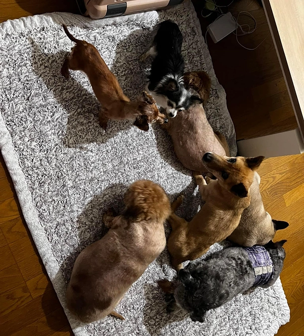 目標金額について