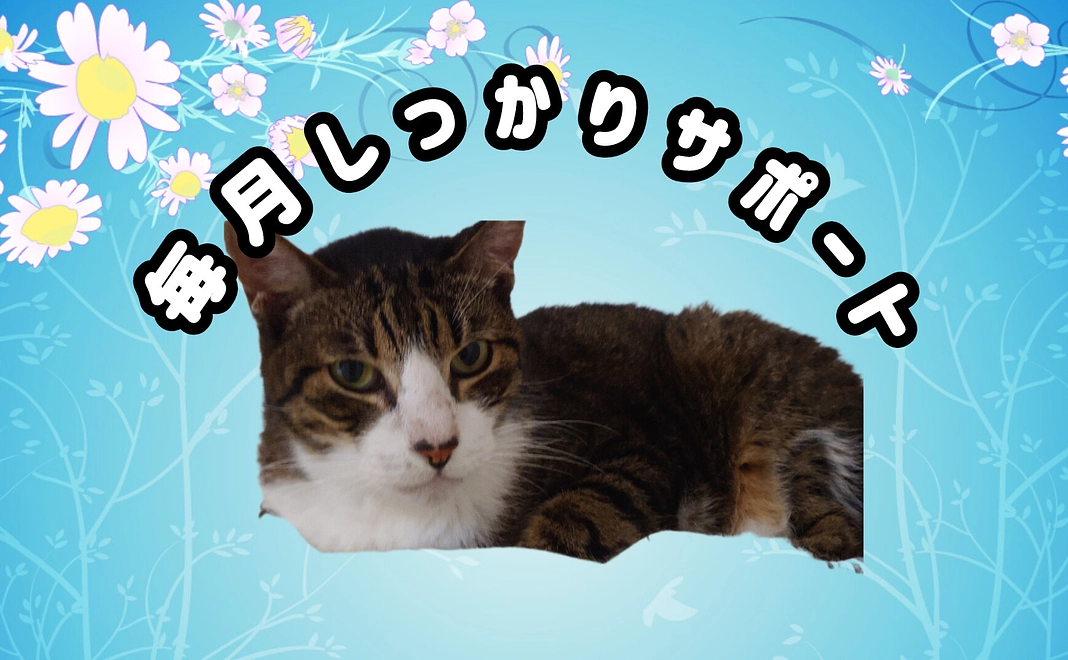 毎月しっかりサポート