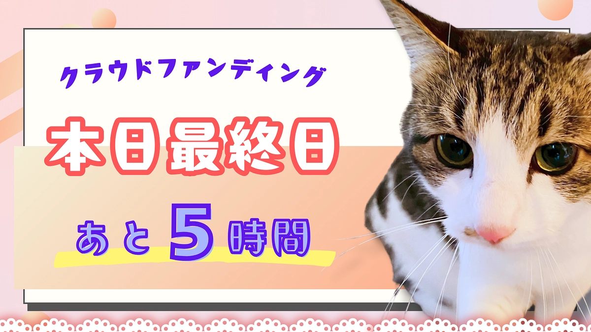 カウントダウン ＼終了まで残り5時間！／本日23時まで