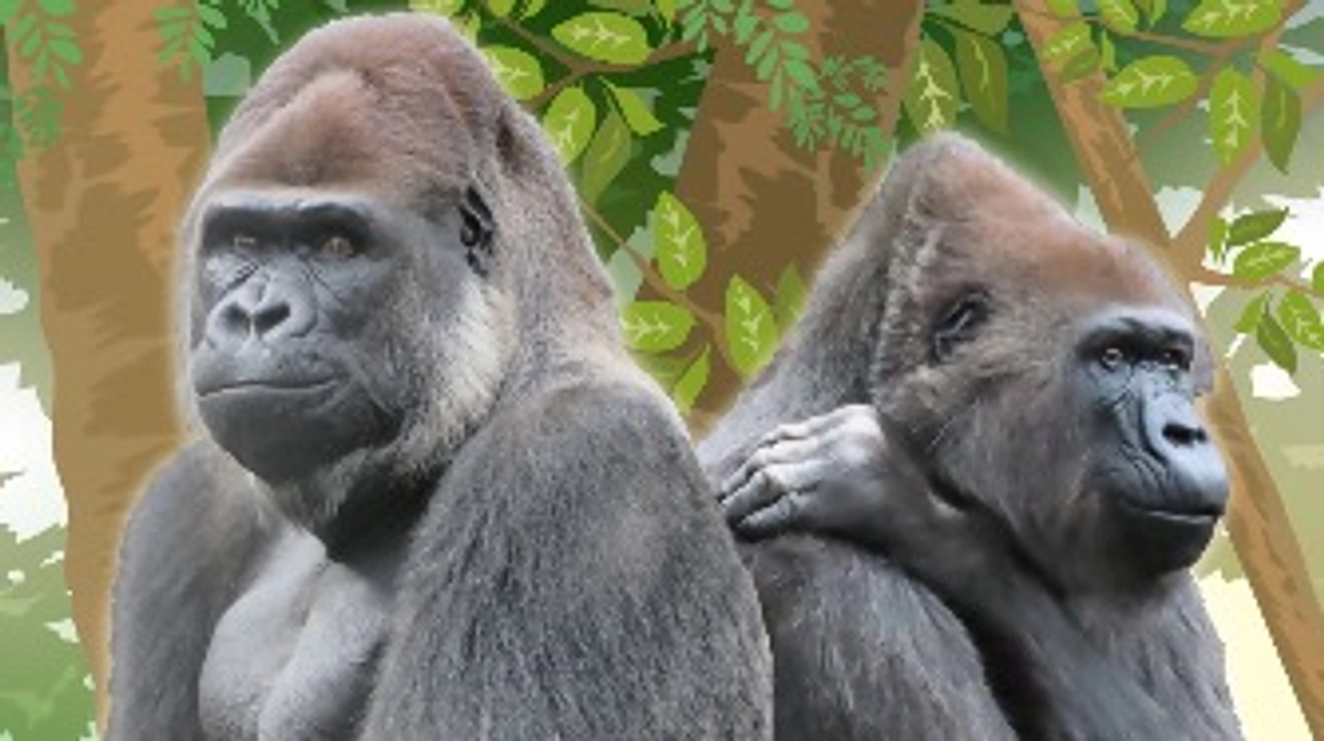 皆様ありがとうございました！