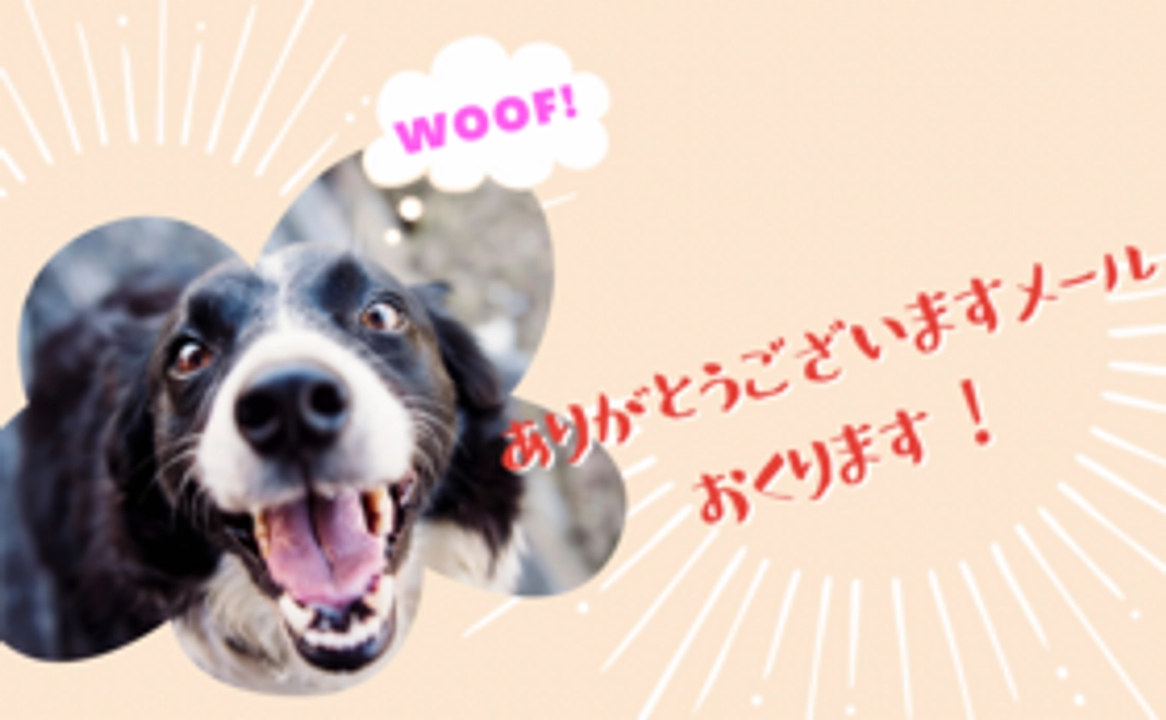 感謝のメールを送ります