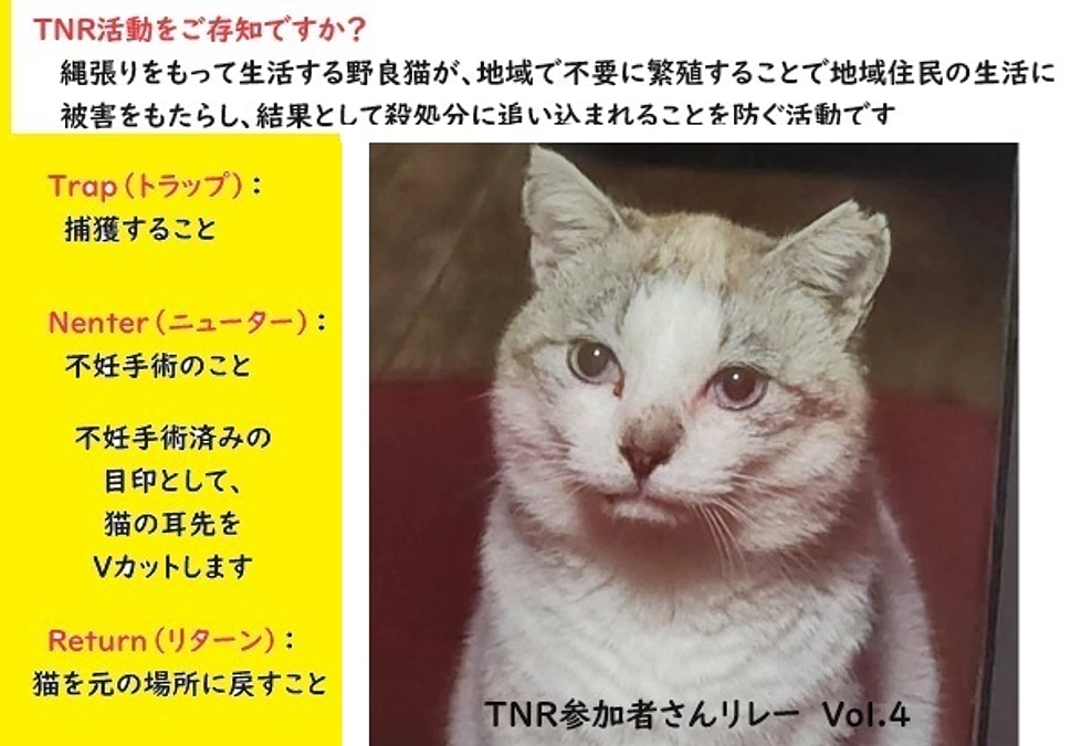 TNR参加者さんリレー　vol.4