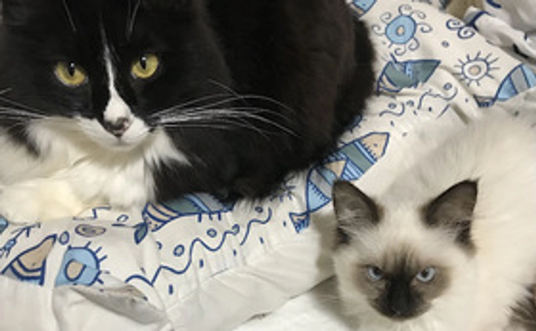 500円コース（リターン不要）