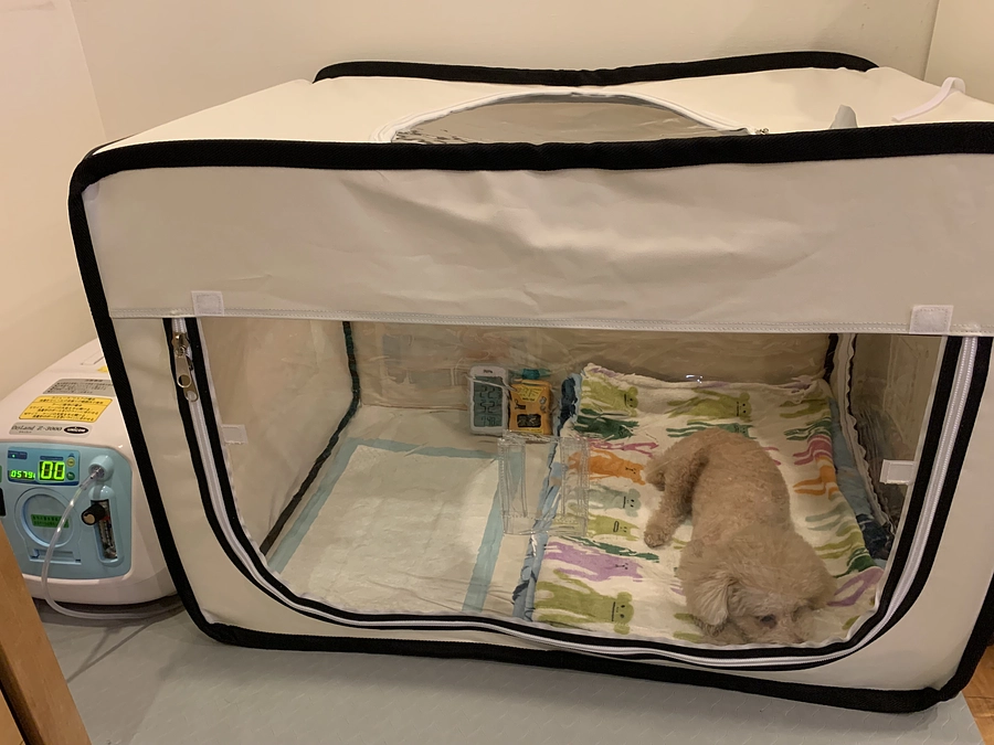 酸素室を導入しました