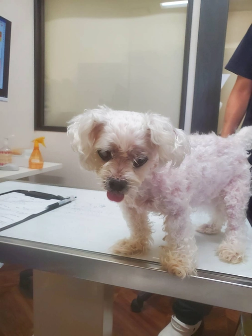 手術前入院しました