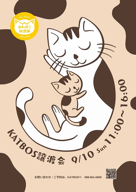 本日9/10は保護猫カフェKATBOS譲渡会