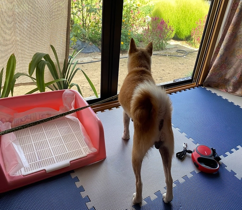 家族ができました💛