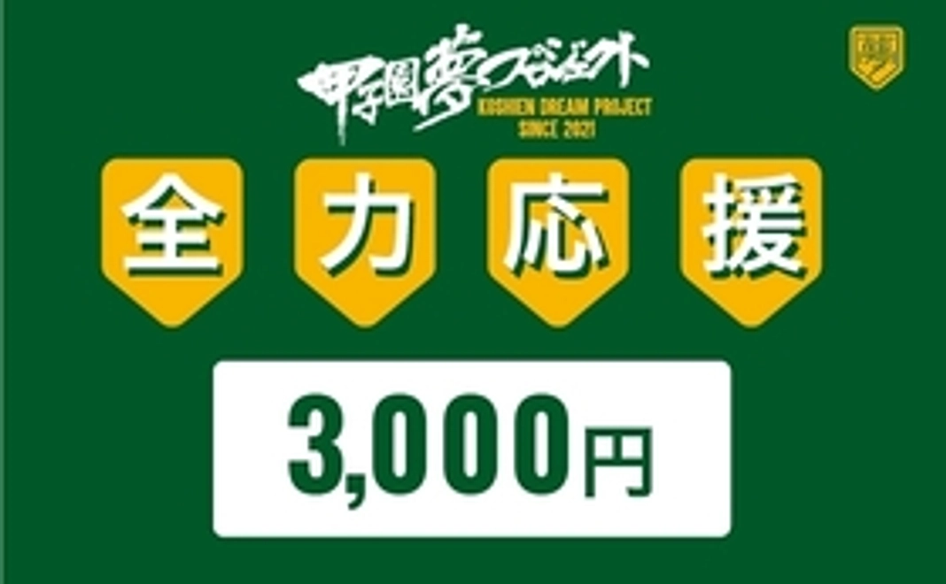 3000円|全力応援プラン