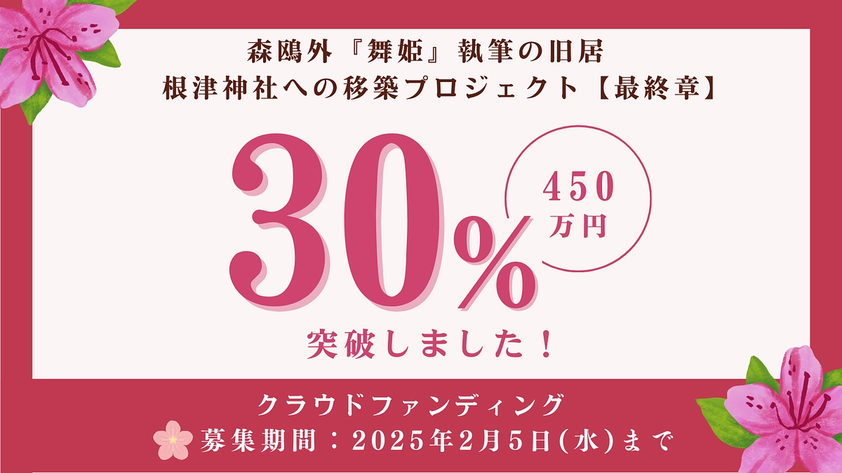 目標金額の30%に到達しました！
