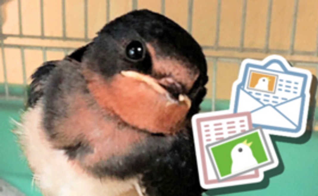 1万円┃リターンなし・フォト付きお礼メール&実施報告コース