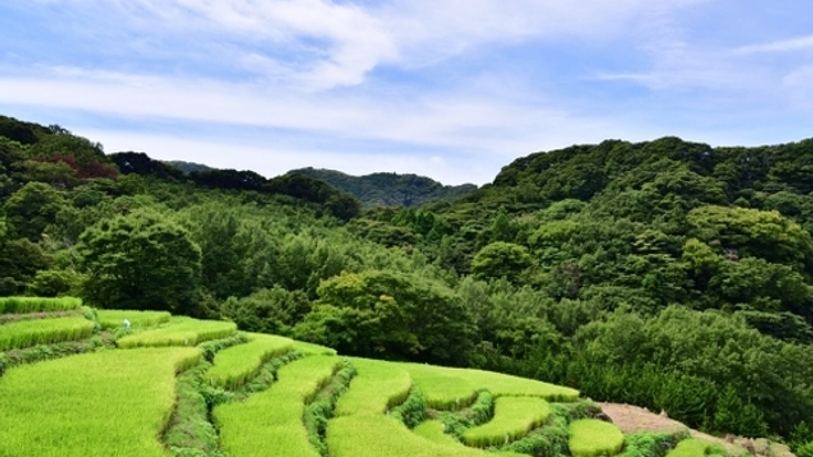 蔵王山田の棚田が今、休耕田に。棚田を蘇らせ、皆が集える場を！
