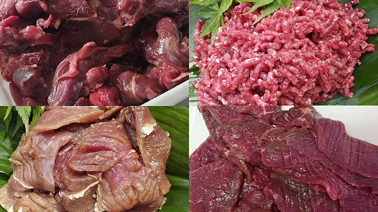 森のいのちを無駄にしない仕組みづくりへ！ジビエ活用のため施設を建設 3枚目