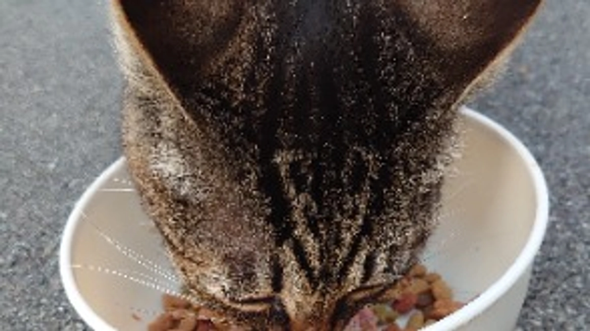 4月21日からの収支報告その2