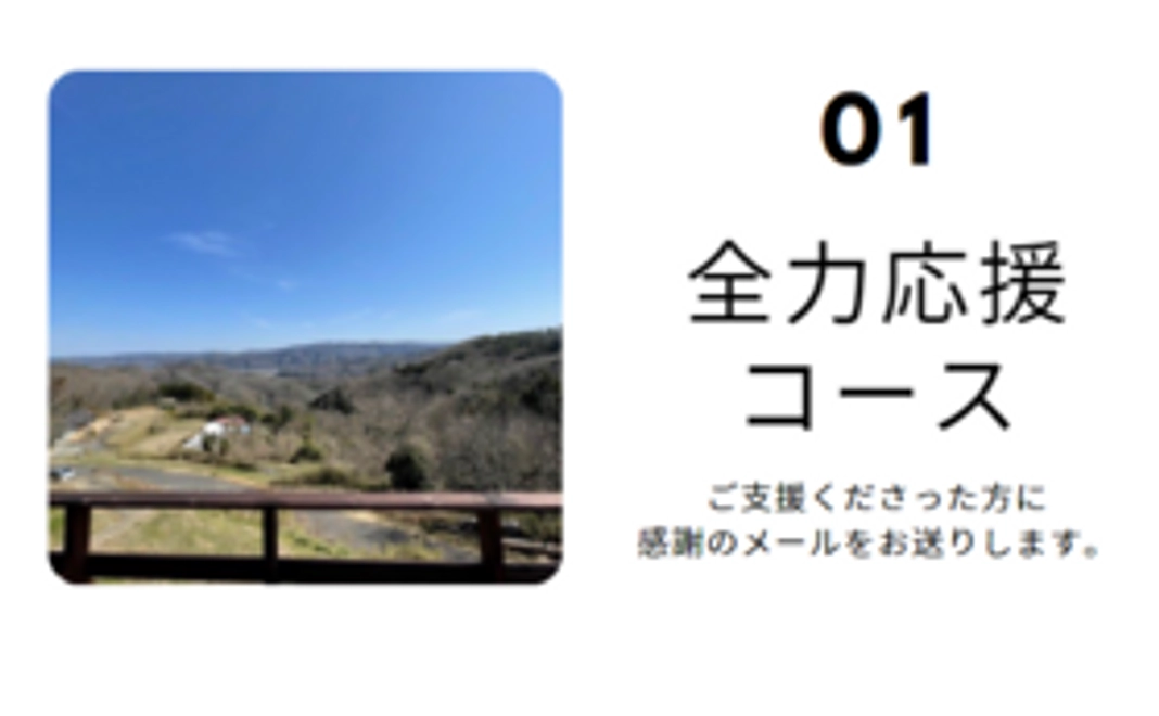 全力応援コース