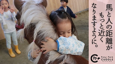 馬を身近な存在に｜活動継続の危機！ポニーの牽引車両更新にご支援を のトップ画像
