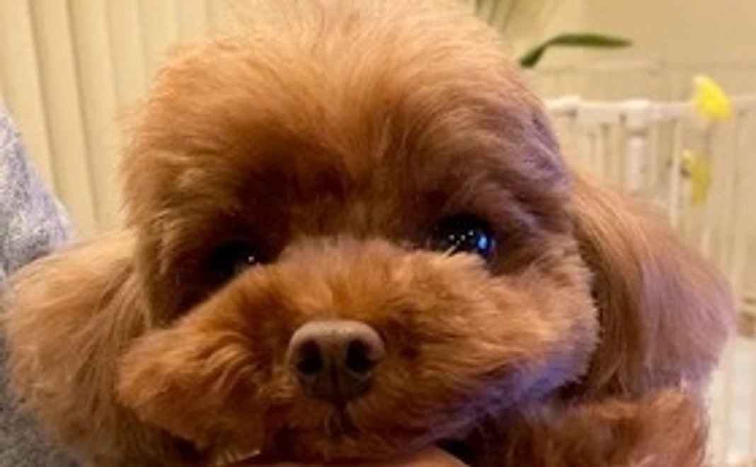 近況報告をさせていただきます