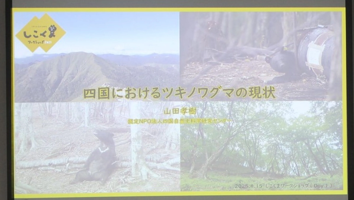 「存続可能な個体群とは？」しこくまワークショップ1日目(8/15)レポート