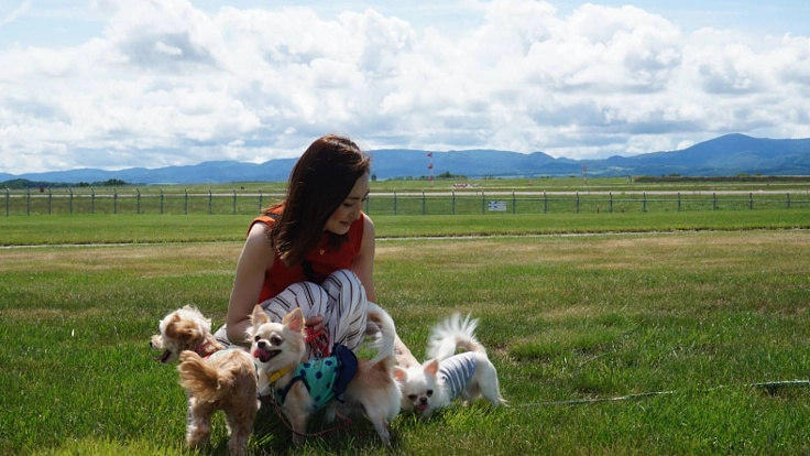 ドッグトレーナーがデザイン。愛犬との絆を深めるお手伝い。